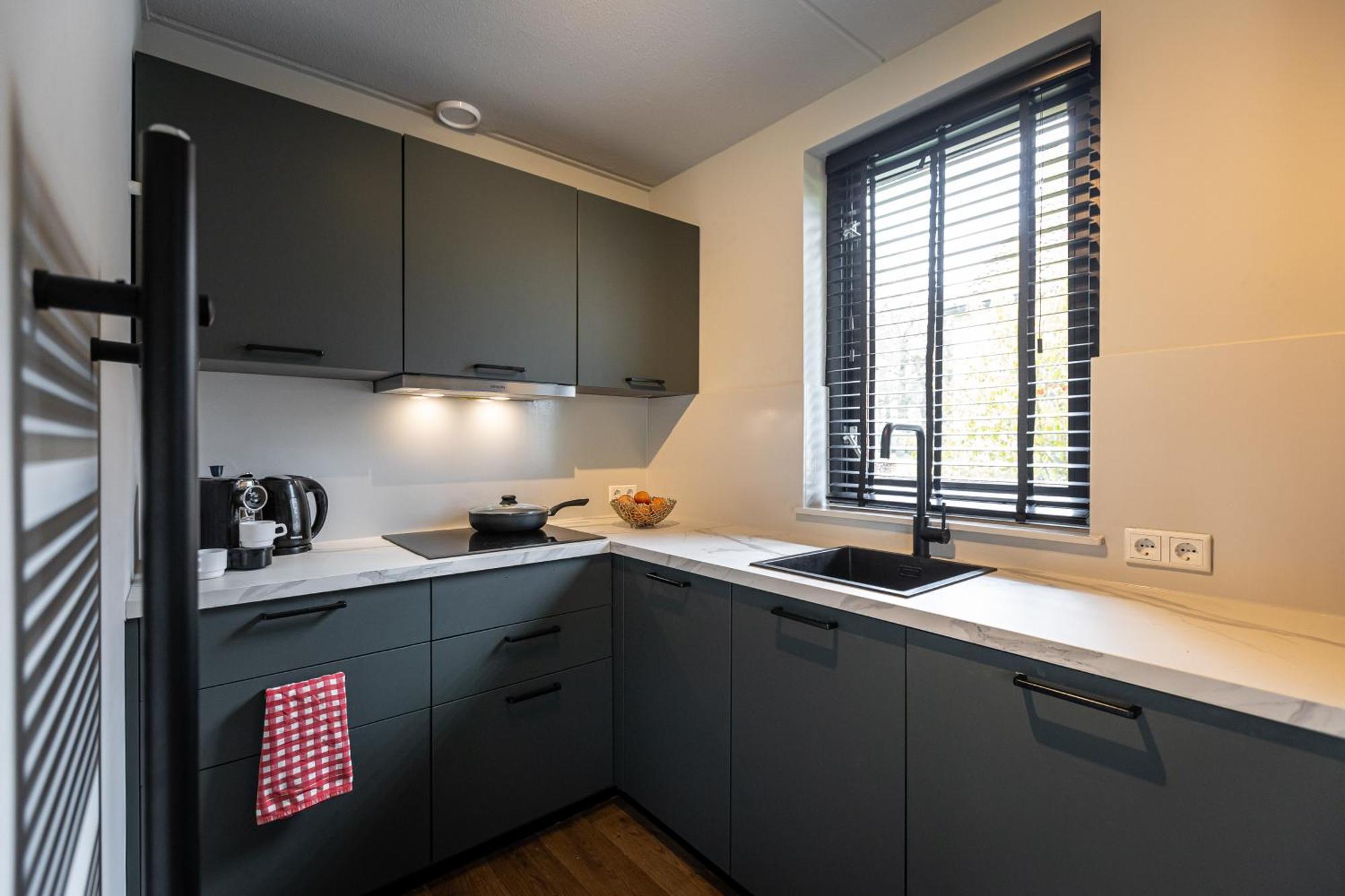 Luxe Vakantiehuisje - Sauna - Natuur - Strand Евейк Екстер'єр фото